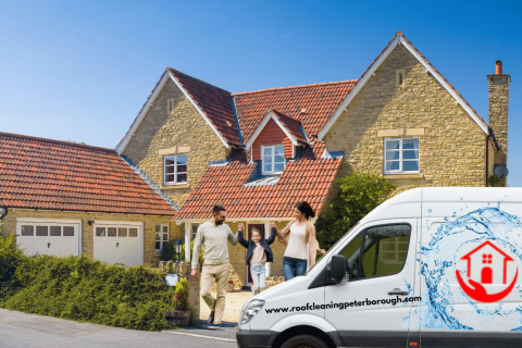 Roof Cleaning Service