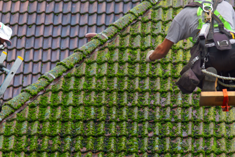 Roof Moss Removal